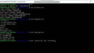 Using Text Files in a Linux Terminal