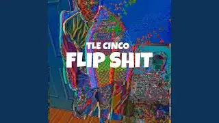 Flip Shit