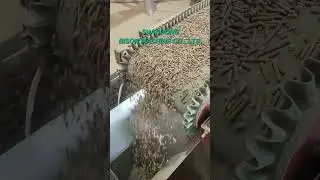 New YULONG Pellet Production Line | Best Biomass Pellet Machine | Maximizing Production Efficiency