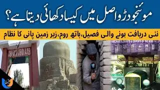 Mohenjo-Daro: Exploring the 5,000-Year-Old Lost City of the Indus Valley Civilization