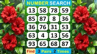 Number Search: Enrich your Cognitive Skill. #braingame #memory #puzzle #quiz #mindset #match -#397