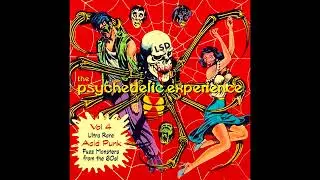 The Psychedelic Experience Vol 4 (Ultra Rare Acid Punk Fuzz Monsters From The 60s!)