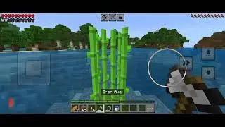 The Minecraft final gameplay 1