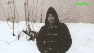 Bruce Lee Rare Photos And Vids 2019