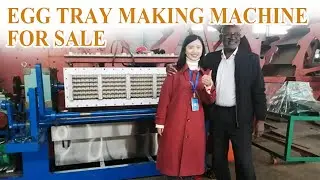 High-Efficiency Egg Tray Making Machine &ndash; Factory Direct Price #egg #eggtray #paper #recycle