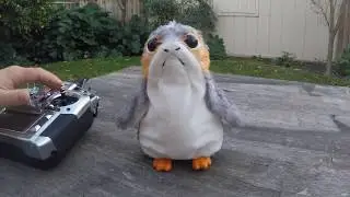 Star Wars Robotic Porg : Porgbot