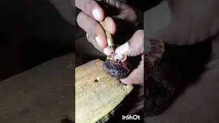 Nose Pin stone fitting, #diamondsetter #shorts ep.NP0066