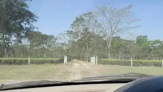 Captivating Dirai Tea Estate ,Moran - Naharkatiya Road