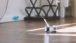 Petronics Mousr Interactive Robotic cat Toy | Plays Automatically or by Smartphone Control | Voted B