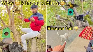 Pakistani bully rescue Failed😞 ( ped 🌲 per bird&rsquo;s breeding box lga diye 😍