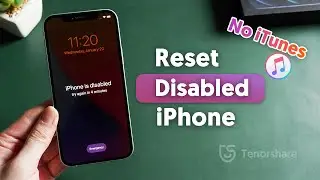 How to Reset Disabled iPhone without iTunes (2 Ways)