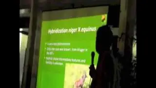 Angola's Giant Sable Update Part 2/2