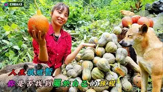 人生很短暫，你是否找到屬於自己的旅程《頂配女人》29