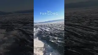 Pangong in Winters #pangonglake #ladakh #winter