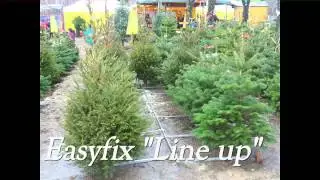 Easyfix  Christbaum Pr&auml;sentationssystem 2013