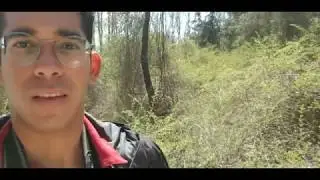 Steven Garcia - The Effects of Invasive Species