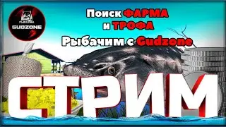 РР4 СТРИМ  •⭐ПРОВЕРКА ФАРМА на ОСЕТРАХ с АХТУБЫ и ГЛУБИН на МОРЕ⭐#рр4 #рр4стрим