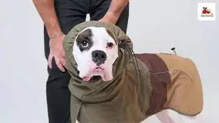 Spark Paws Dog Raincoat for Small Medium Large Dogs
