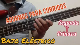 Adornos norteños / Para CORRIDOS en bajo eléctrico