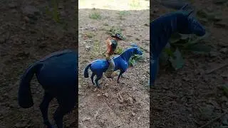 rodeio no cavalo azul #animaisdafazenda #animals