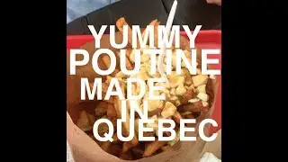 Mitch at Midlife - Yummy Poutine Made in Quebec