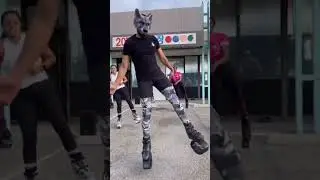 Furry exercise class