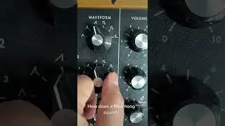 How does a Minimoog sound? #moog #synthesizer #asmr ミニモーグの音はどうですか