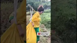 Determination and Courage: The Journey of a Hardworking Chinese Girl
