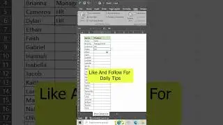 Drop Down List in Excel Data Validation |  #exceltech #excelfunction