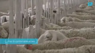 Giotsas’ farm - Testimonial MP Rotary