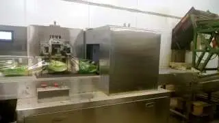 Salad packing machine, vegetable packing machine, lettuce packing machine,