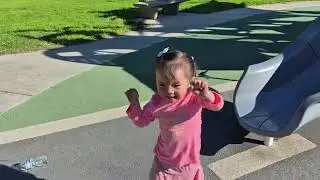Luna slide