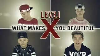 LEVEL X 