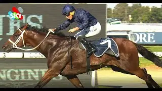 Shinzo golden slipper