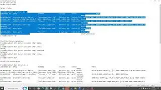 Quick demo on how to stop & start a docker container