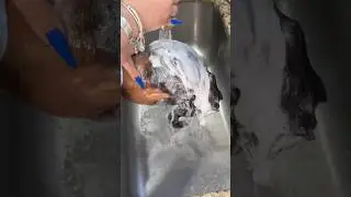 День мытья волос: лучшие средства для всех типов волос