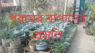 গরমের বাগানের কাজ শুরু/ফুল গাছের যত্ন/জৈব মাটি দিয়ে বেড তৈরি/চারা রোপন বীজ বপন #rooftop #gardening 