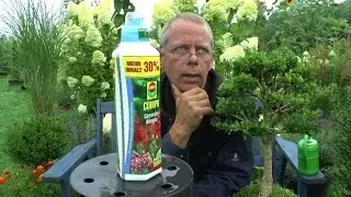 Düngen von Bonsai und Topfpflanzen Teil 1 Compo Geraniendünger