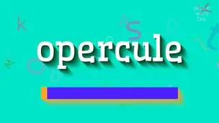 КАК ПРОИЗНОШАЕТСЯ ОПЕРКУЛЯ?  #оперкула (HOW TO PRONOUNCE OPERCULE? #opercule)
