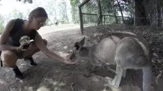 Queensland - 2017