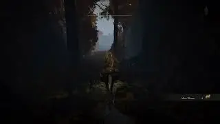 Amber Starlight & the best Sacramental Bud farming location in Elden Ring