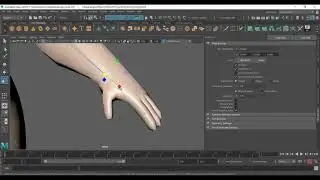 Maya skinning tips techniques for low and high polygon