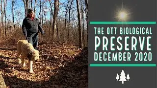 The Ott Biological Preserve December 2020