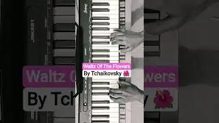 Waltz Of The Flowers 🌺🌸💐 by Tchaikovsky (Slow/Easy Piano Version)