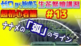 ゼロから始める生花祭壇講習_超初心者編#13_ナナメの「弧」のライン