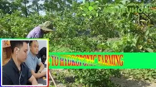 C&ocirc;ng Personal Finance Guide - A GUIDE TO HYDROPONIC FARMING