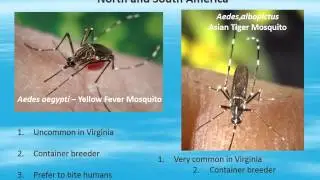 Asian Tiger and Zika Virus Training