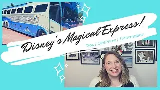 Magical Express Overview and TIPS!