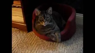 Sasha's 7th Anniversary Video :)