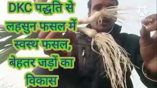 1 जनवरी 2026